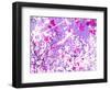 Photomontage of Trees in Purple Tones-Alaya Gadeh-Framed Photographic Print