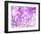 Photomontage of Trees in Purple Tones-Alaya Gadeh-Framed Photographic Print
