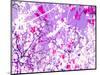 Photomontage of Trees in Purple Tones-Alaya Gadeh-Mounted Photographic Print