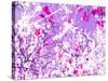 Photomontage of Trees in Purple Tones-Alaya Gadeh-Stretched Canvas