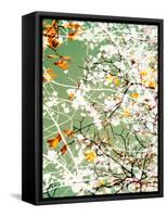 Photomontage of Trees-Alaya Gadeh-Framed Stretched Canvas