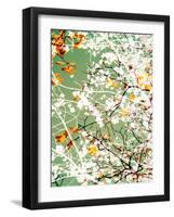 Photomontage of Trees-Alaya Gadeh-Framed Photographic Print