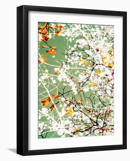 Photomontage of Trees-Alaya Gadeh-Framed Photographic Print