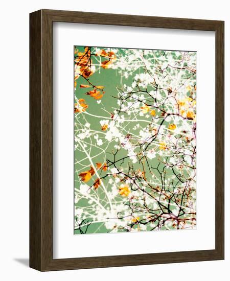 Photomontage of Trees-Alaya Gadeh-Framed Photographic Print