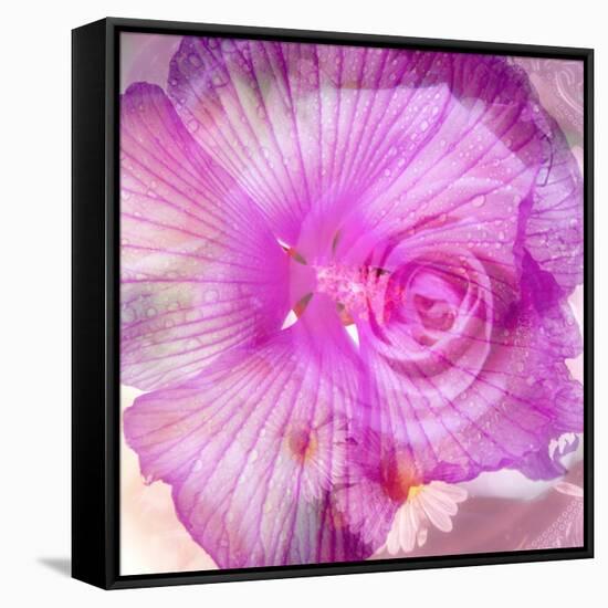 Photomontage of Two Blossoms in Pink Ones-Alaya Gadeh-Framed Stretched Canvas