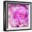 Photomontage of Two Blossoms in Pink Ones-Alaya Gadeh-Framed Photographic Print