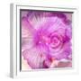 Photomontage of Two Blossoms in Pink Ones-Alaya Gadeh-Framed Photographic Print