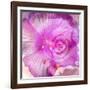 Photomontage of Two Blossoms in Pink Ones-Alaya Gadeh-Framed Photographic Print