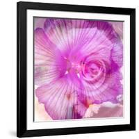 Photomontage of Two Blossoms in Pink Ones-Alaya Gadeh-Framed Photographic Print