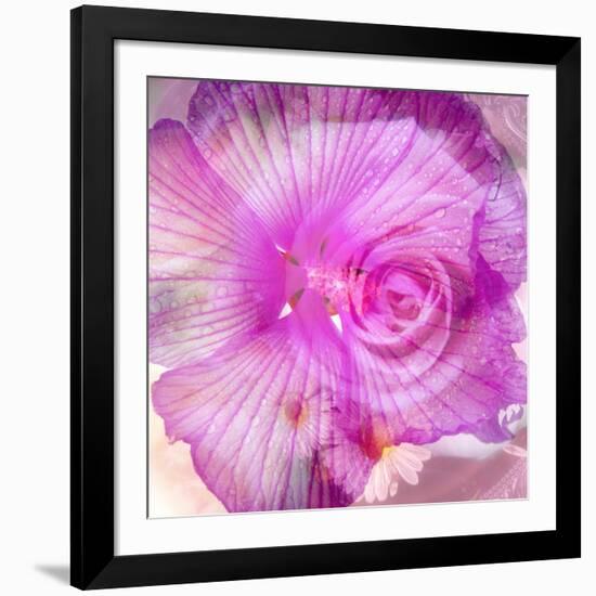 Photomontage of Two Blossoms in Pink Ones-Alaya Gadeh-Framed Photographic Print