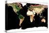 Photomosaic of Earth Without Cloud Cover-null-Stretched Canvas