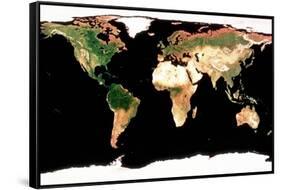 Photomosaic of Earth Without Cloud Cover-null-Framed Stretched Canvas