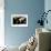 Photomosaic of Earth Without Cloud Cover-null-Framed Giclee Print displayed on a wall
