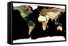 Photomosaic of Earth Without Cloud Cover-null-Framed Stretched Canvas