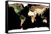 Photomosaic of Earth Without Cloud Cover-null-Framed Stretched Canvas