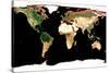 Photomosaic of Earth Without Cloud Cover-null-Stretched Canvas