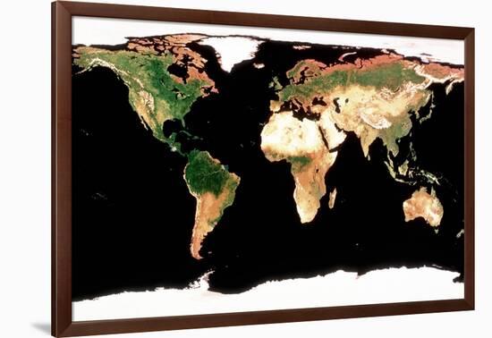 Photomosaic of Earth Without Cloud Cover-null-Framed Giclee Print