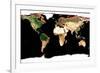 Photomosaic of Earth Without Cloud Cover-null-Framed Giclee Print