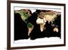 Photomosaic of Earth Without Cloud Cover-null-Framed Giclee Print