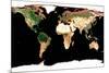 Photomosaic of Earth Without Cloud Cover-null-Mounted Giclee Print