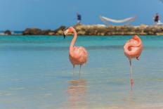 Four Flamingos on the Beach-PhotoSerg-Stretched Canvas