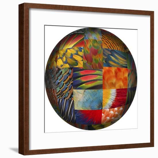 Photoshop designed globe with feather pattern design-Darrell Gulin-Framed Premium Photographic Print