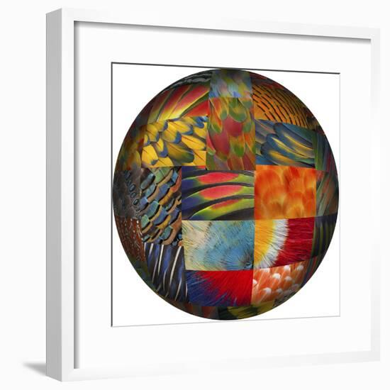 Photoshop designed globe with feather pattern design-Darrell Gulin-Framed Premium Photographic Print