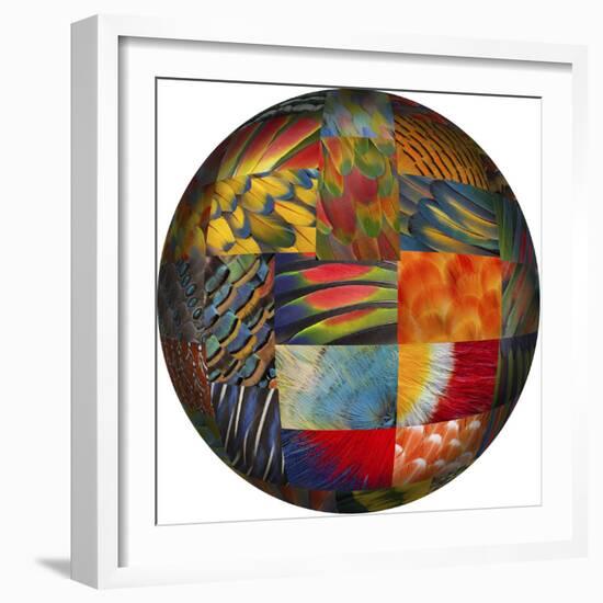 Photoshop designed globe with feather pattern design-Darrell Gulin-Framed Premium Photographic Print