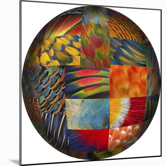 Photoshop designed globe with feather pattern design-Darrell Gulin-Mounted Premium Photographic Print