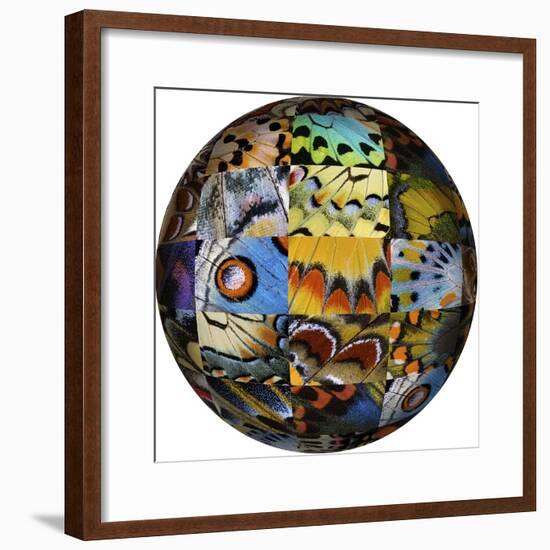 Photoshop designed globe with grouping of butterfly wing close-up-Darrell Gulin-Framed Premium Photographic Print