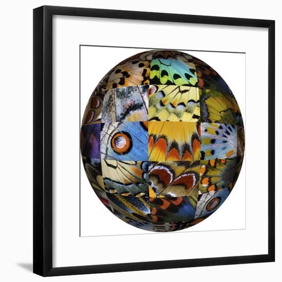 Photoshop designed globe with grouping of butterfly wing close-up-Darrell Gulin-Framed Premium Photographic Print