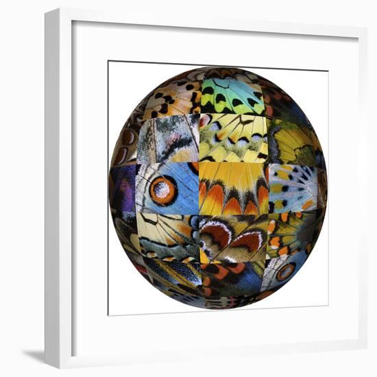 Photoshop designed globe with grouping of butterfly wing close-up-Darrell Gulin-Framed Premium Photographic Print