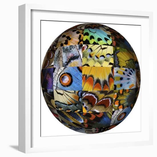 Photoshop designed globe with grouping of butterfly wing close-up-Darrell Gulin-Framed Premium Photographic Print