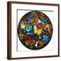 Photoshop designed globe with numerous butterfly photographs-Darrell Gulin-Framed Premium Photographic Print