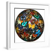 Photoshop designed globe with numerous butterfly photographs-Darrell Gulin-Framed Premium Photographic Print