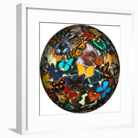 Photoshop designed globe with numerous butterfly photographs-Darrell Gulin-Framed Premium Photographic Print