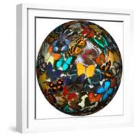 Photoshop designed globe with numerous butterfly photographs-Darrell Gulin-Framed Premium Photographic Print