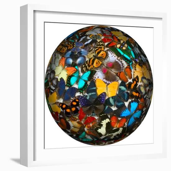 Photoshop designed globe with numerous butterfly photographs-Darrell Gulin-Framed Premium Photographic Print