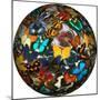 Photoshop designed globe with numerous butterfly photographs-Darrell Gulin-Mounted Premium Photographic Print