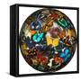 Photoshop designed globe with numerous butterfly photographs-Darrell Gulin-Framed Stretched Canvas