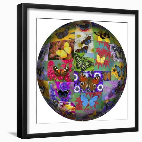 Photoshop designed globe with numerous butterfly photographs-Darrell Gulin-Framed Premium Photographic Print