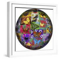 Photoshop designed globe with numerous butterfly photographs-Darrell Gulin-Framed Premium Photographic Print