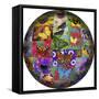 Photoshop designed globe with numerous butterfly photographs-Darrell Gulin-Framed Stretched Canvas