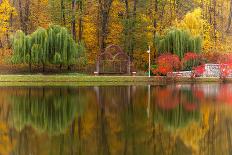 Autumn Tints of Nature,Park in Autumn Tints is Reflected in Silent Pond,Autumn,Autumn Winter,Fall P-Photosite-Framed Photographic Print