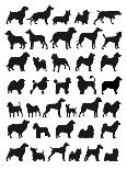 Many Dog Breeds in Silhouettes-photosoup-Art Print