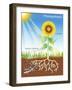 Photosynthesis, Illustration-David Nicholls-Framed Photographic Print