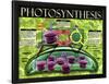 Photosynthesis-null-Framed Art Print