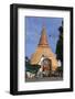 Phra Pathom Chedi-Stuart Black-Framed Photographic Print