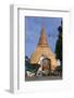 Phra Pathom Chedi-Stuart Black-Framed Photographic Print