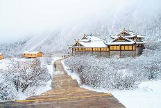 Snow Season in China-Phraisohn Siripool-Photographic Print